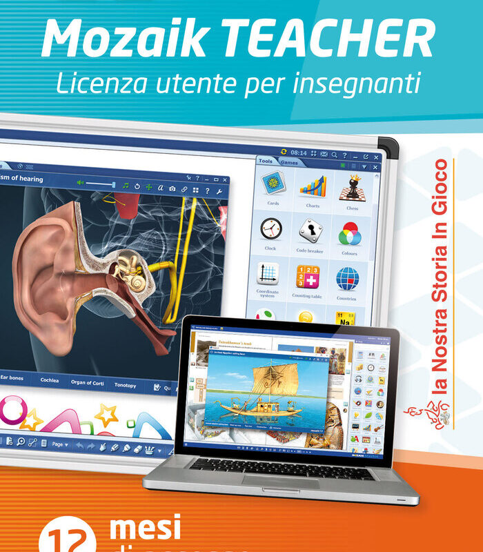 mozaik-teacher-2023